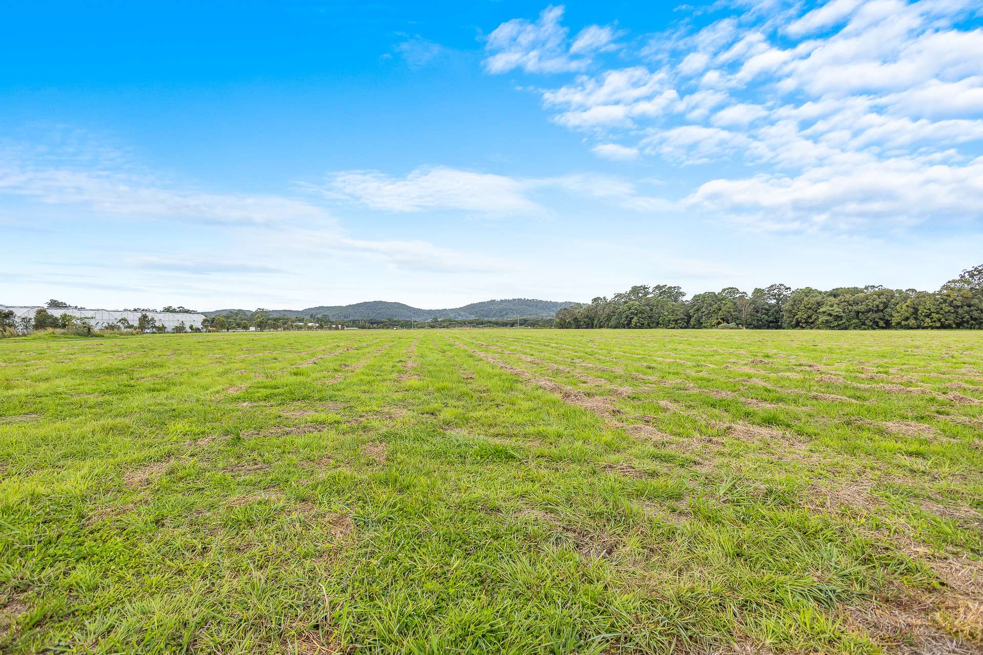 53-55 Burtons Road, Bridges For Sale by Farmbuy.com - image 31