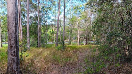 Farm For Sale - QLD - Glenwood - 4570 - Peaceful Acreage with Dam 