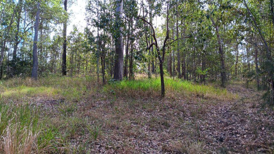 Lot 30 Abbott Road, Glenwood For Sale by Farmbuy.com - image 4