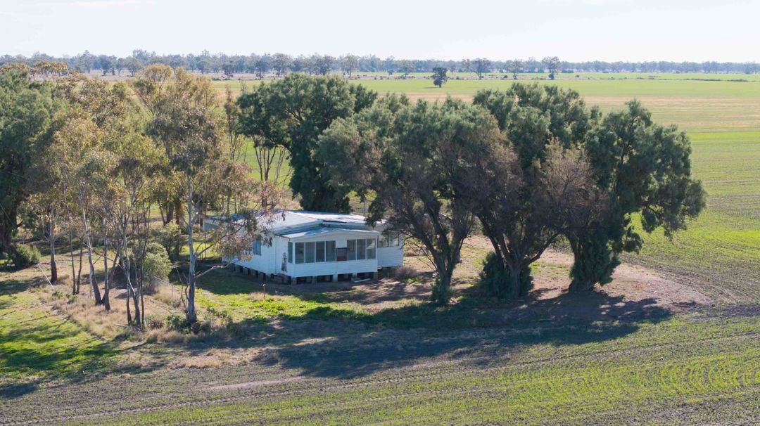 141 Cheecome Road, Moree For Sale by Farmbuy.com - image 10