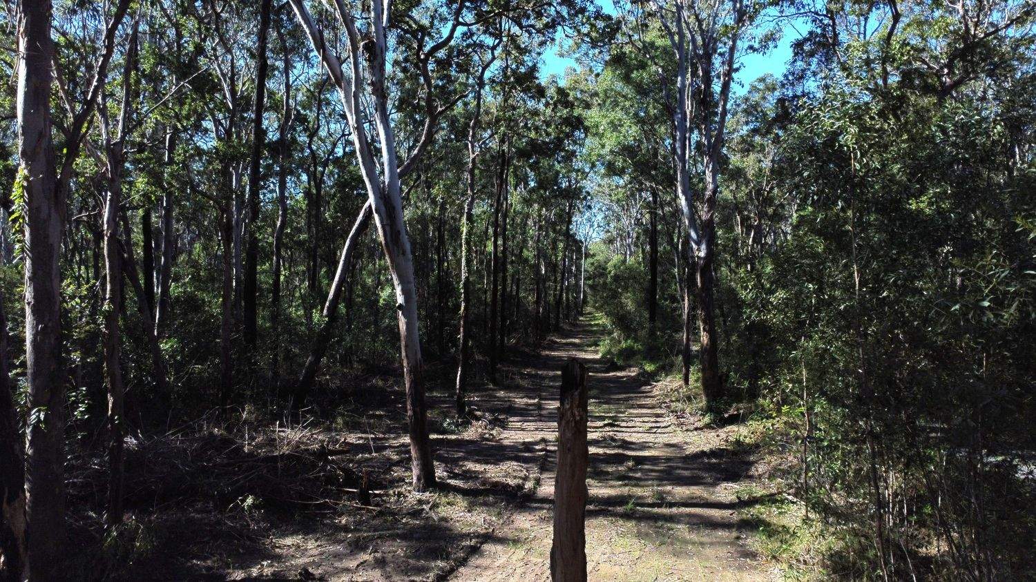 Lot 9 Bungawalbin Whiporie Road, Gibberagee For Sale by Farmbuy.com - image 9