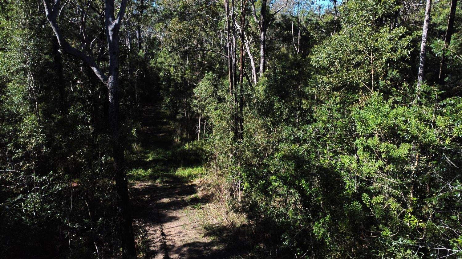 Lot 9 Bungawalbin Whiporie Road, Gibberagee For Sale by Farmbuy.com - image 7
