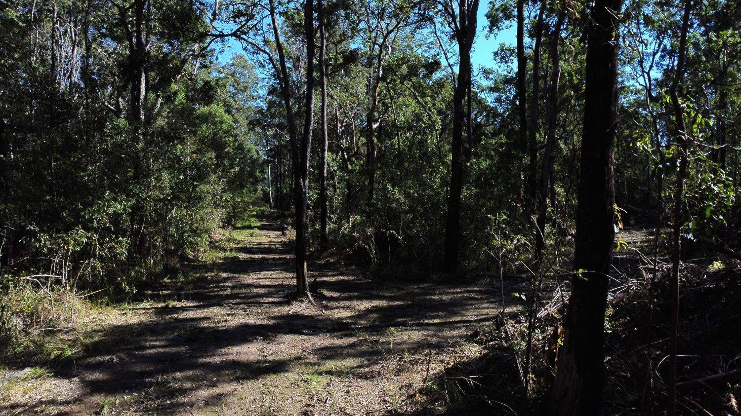 Lot 9 Bungawalbin Whiporie Road, Gibberagee For Sale by Farmbuy.com - image 8