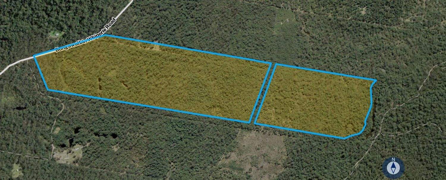 Lot 9 Bungawalbin Whiporie Road, Gibberagee For Sale by Farmbuy.com - image 11