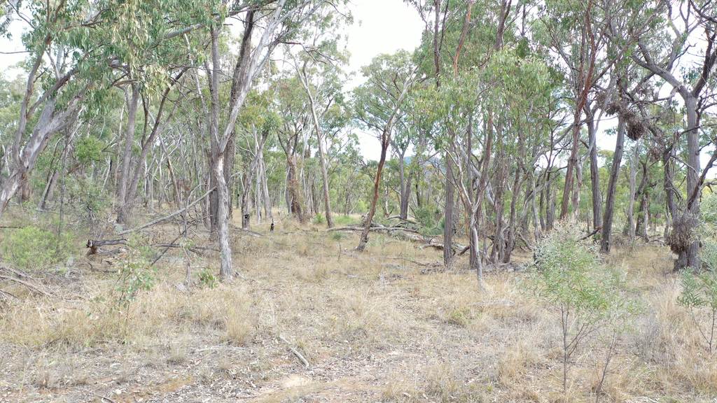 Lot 3 Halls Creek Road, Halls Creek NSW 2346