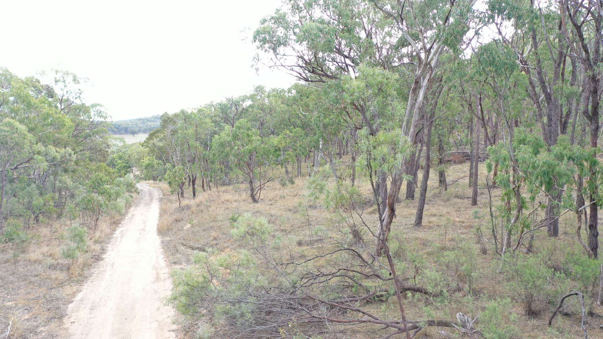 Lot 3 Halls Creek Road, Halls Creek For Sale by Farmbuy.com - image 3