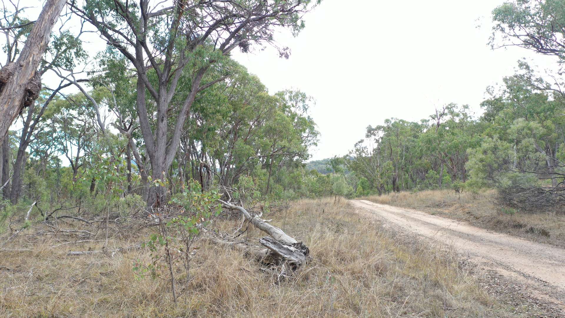 Lot 3 Halls Creek Road, Halls Creek For Sale by Farmbuy.com - image 4