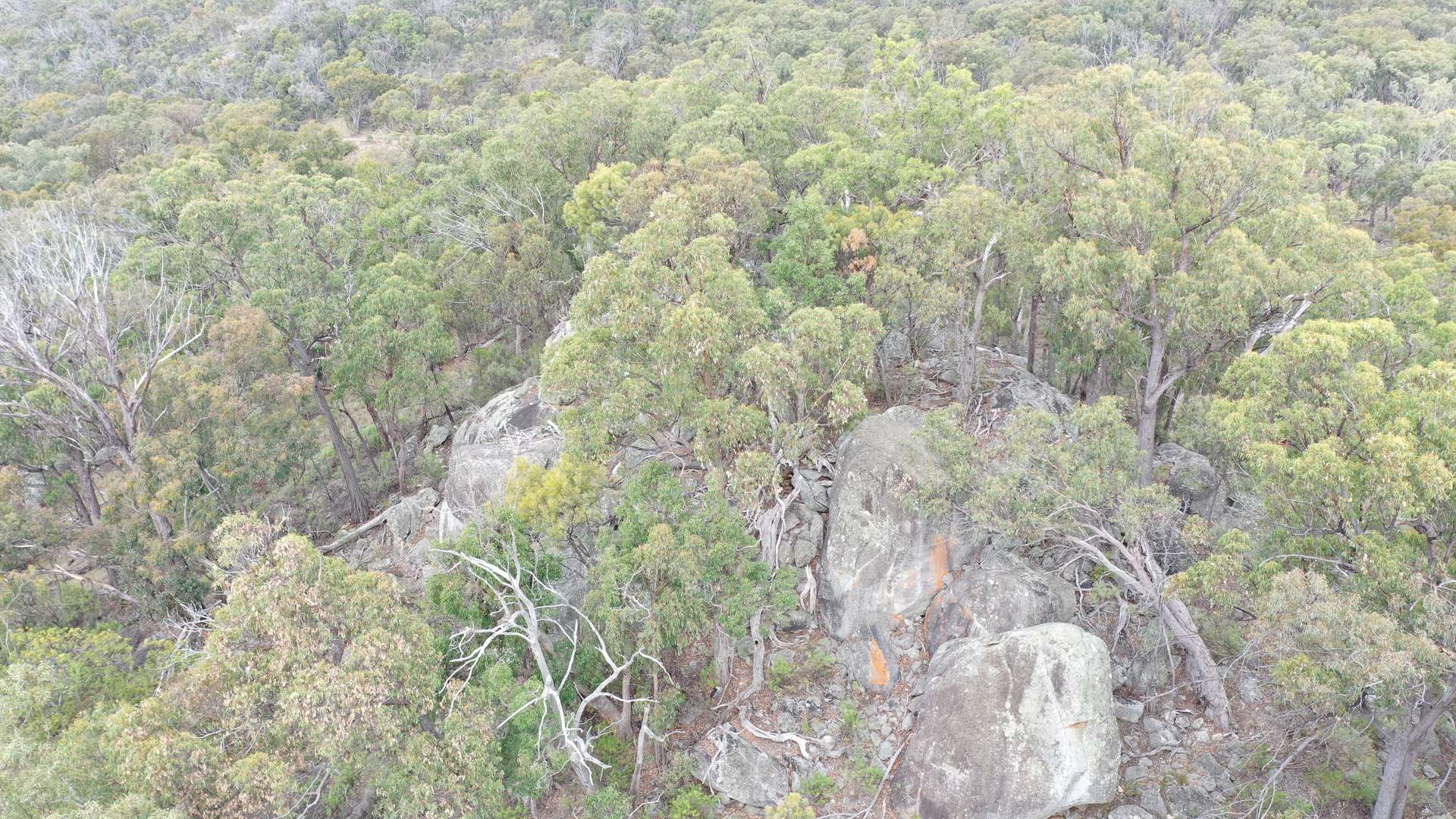Lot 3 Halls Creek Road, Halls Creek For Sale by Farmbuy.com - image 6