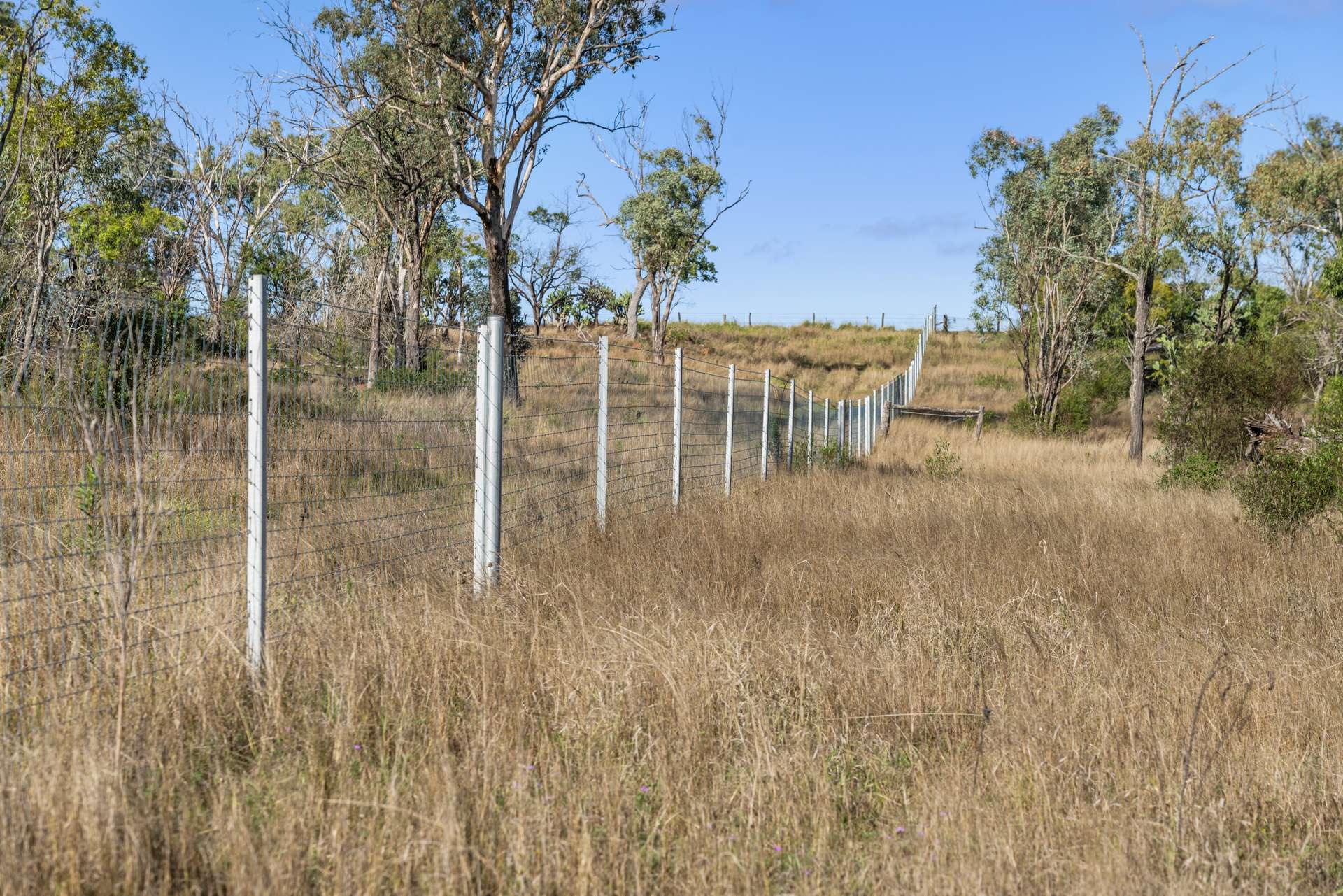 520 Linthorpe Road, Pittsworth Auction by Farmbuy.com - image 34