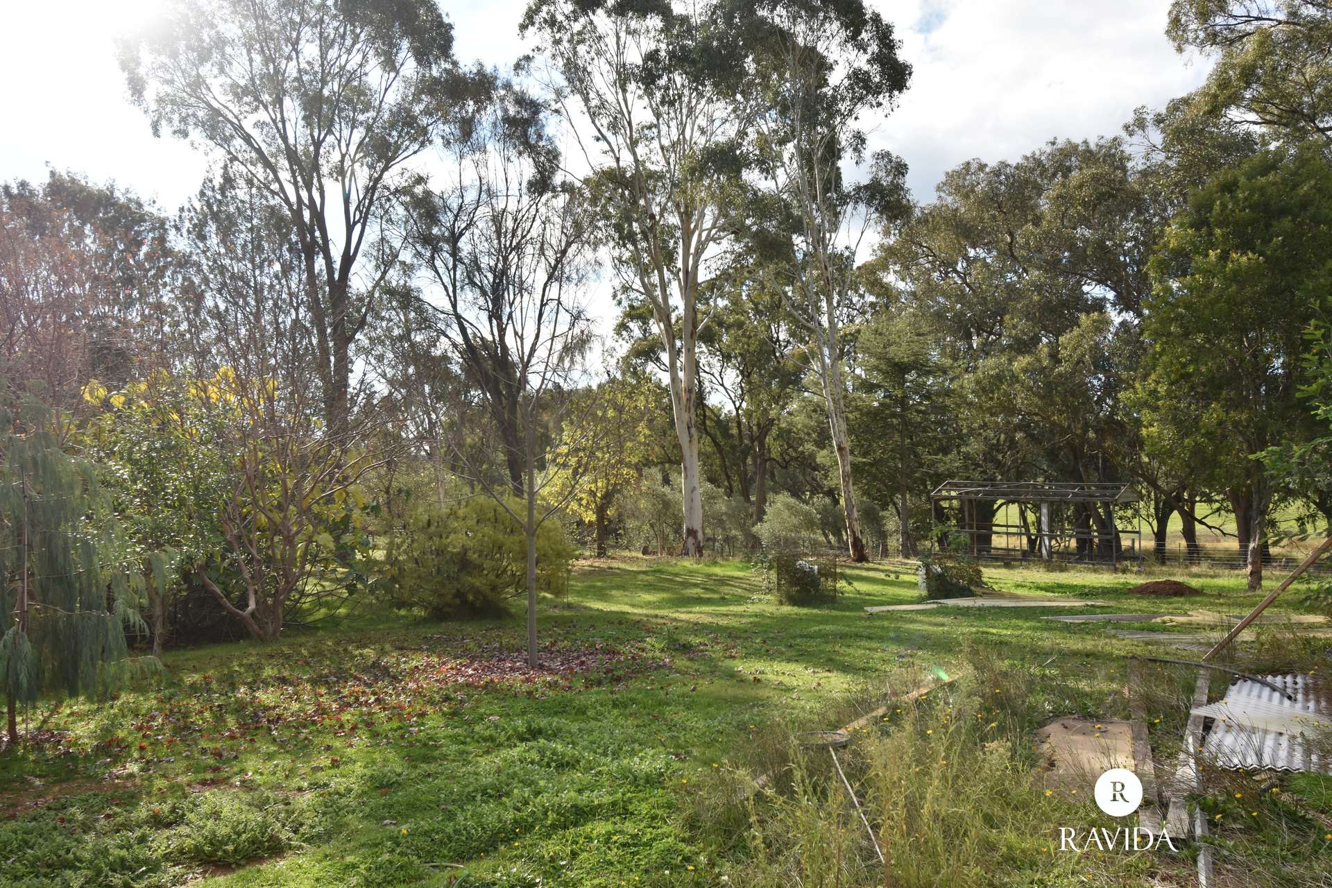 133 Havelock Road, Beechworth For Sale by Farmbuy.com - image 16
