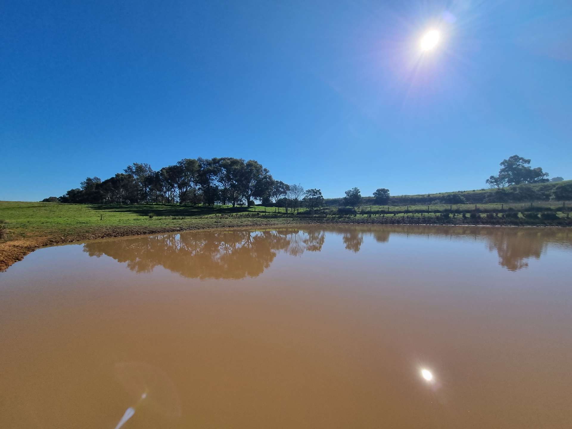 76 Sylvia's Gap Road, Gundagai For Sale by Farmbuy.com - image 12