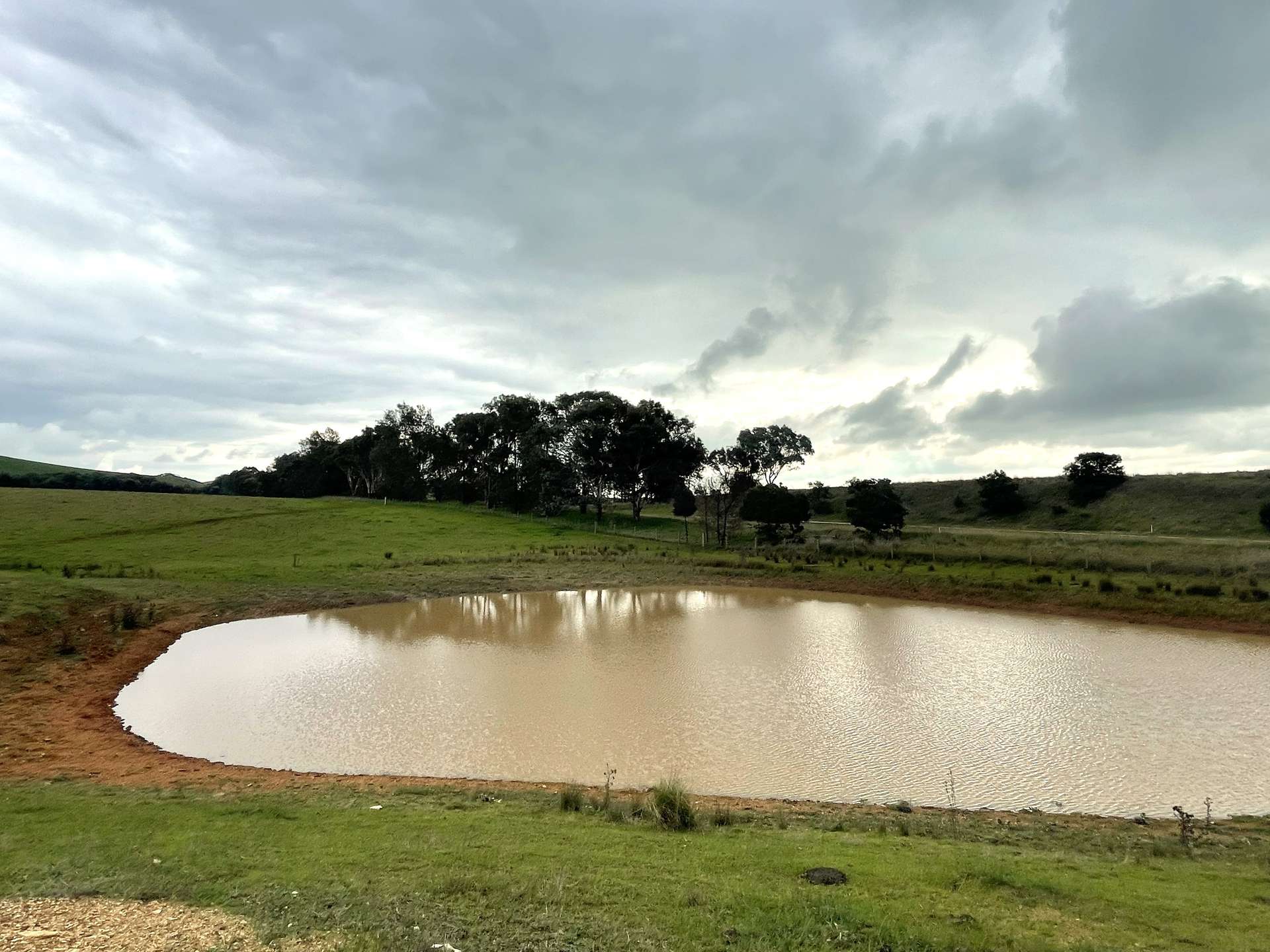 76 Sylvia's Gap Road, Gundagai For Sale by Farmbuy.com - image 8