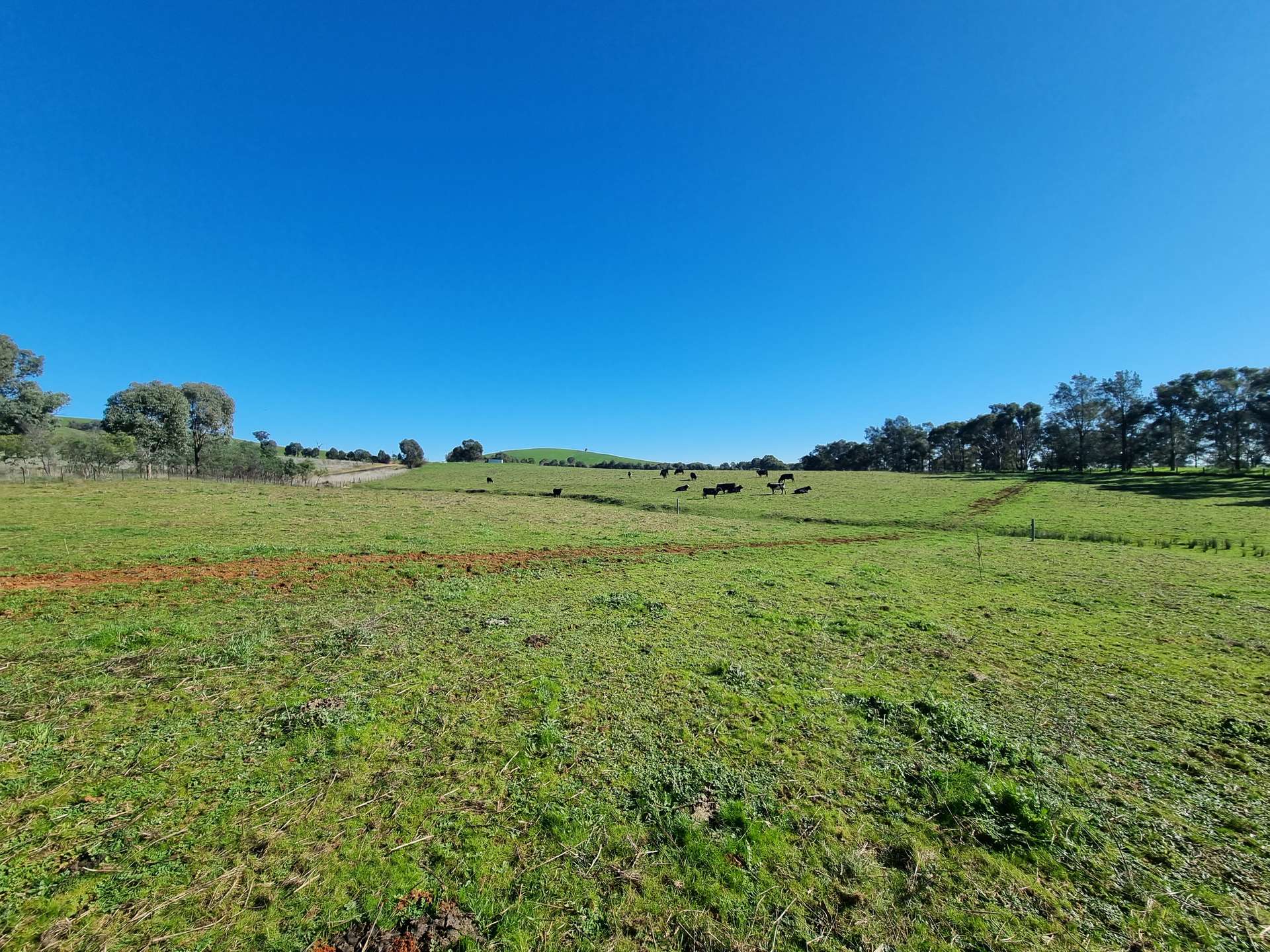 76 Sylvia's Gap Road, Gundagai For Sale by Farmbuy.com - image 10