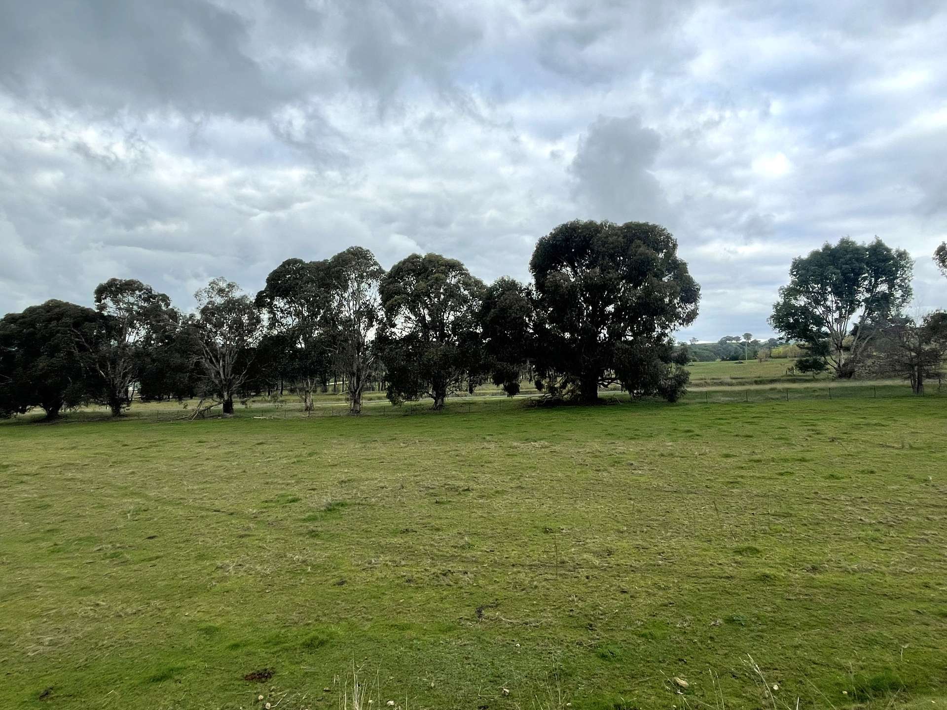 76 Sylvia's Gap Road, Gundagai For Sale by Farmbuy.com - image 6