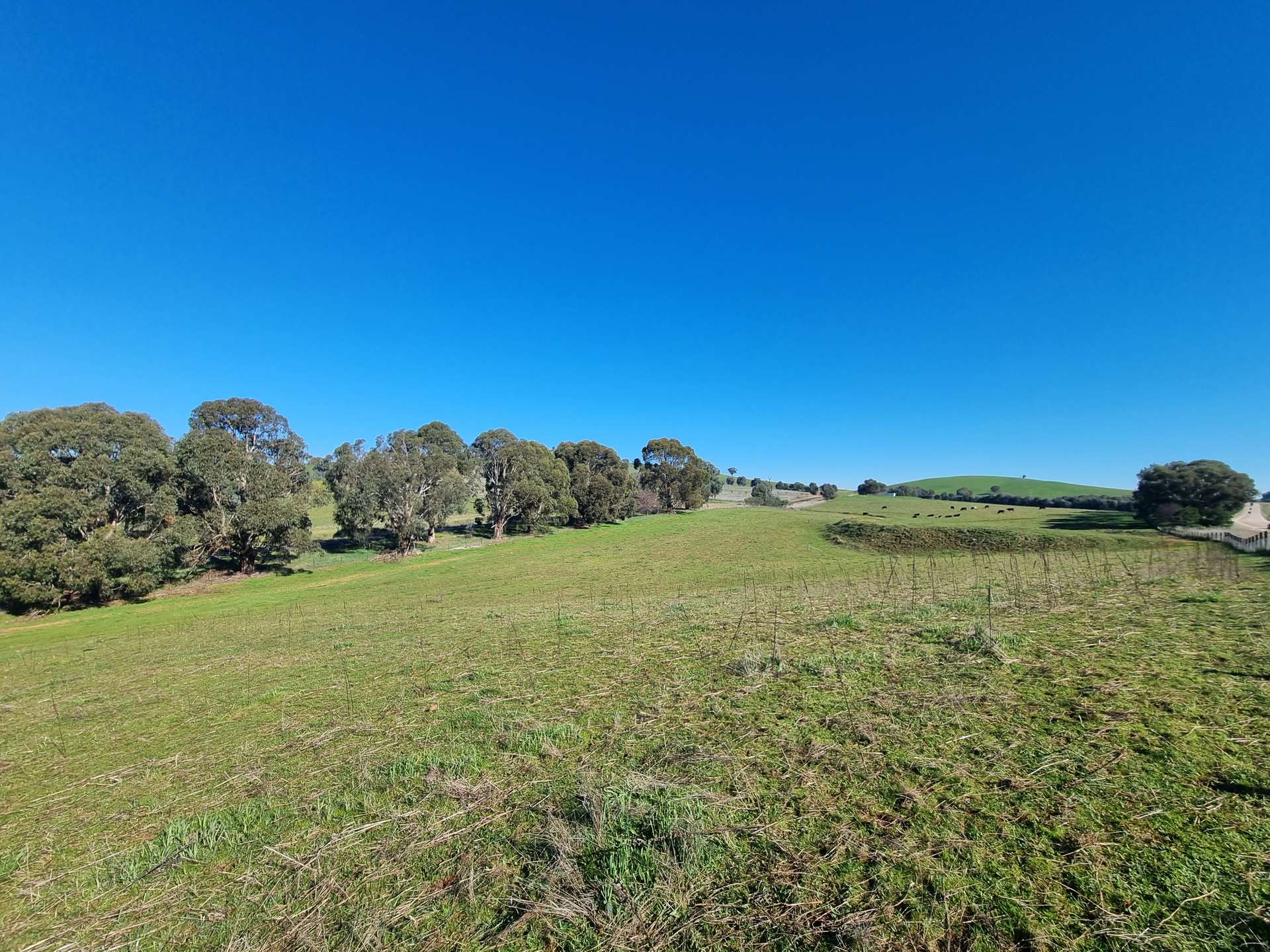 76 Sylvia's Gap Road, Gundagai For Sale by Farmbuy.com - image 6