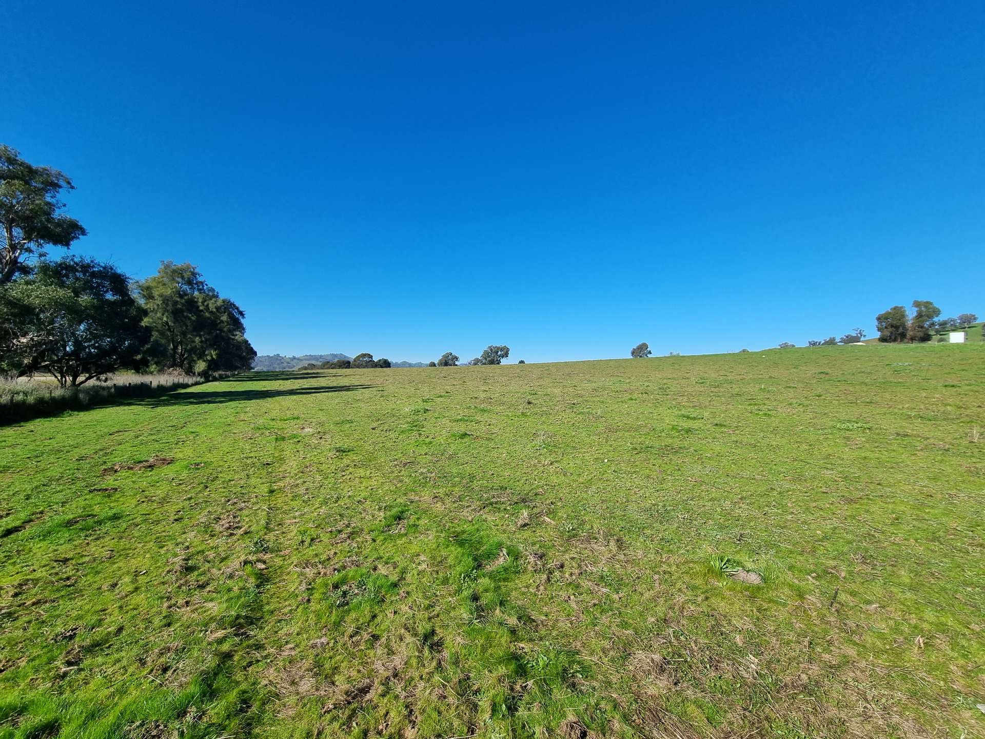 76 Sylvia's Gap Road, Gundagai For Sale by Farmbuy.com - image 4