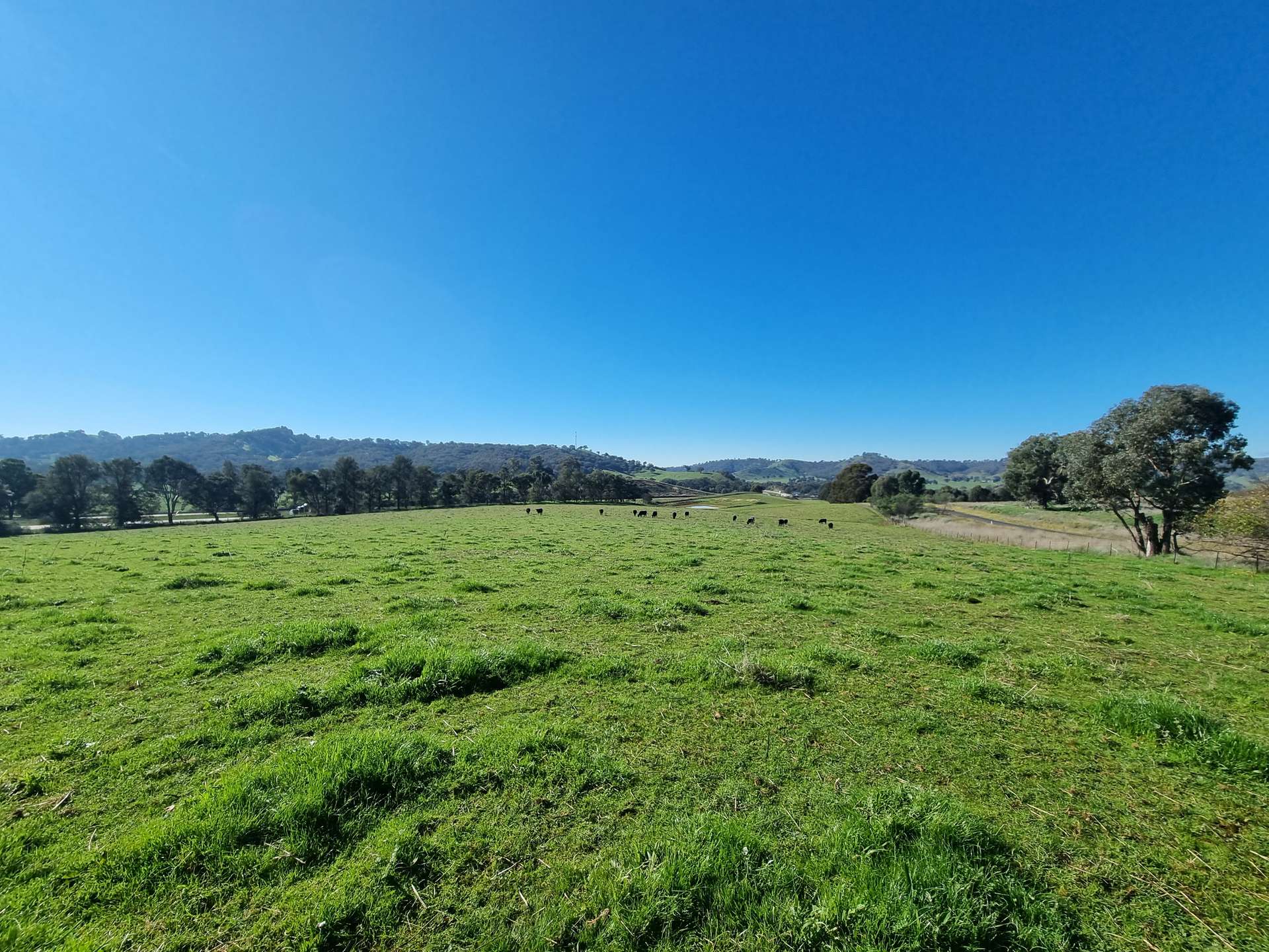 76 Sylvia's Gap Road, Gundagai For Sale by Farmbuy.com - image 2