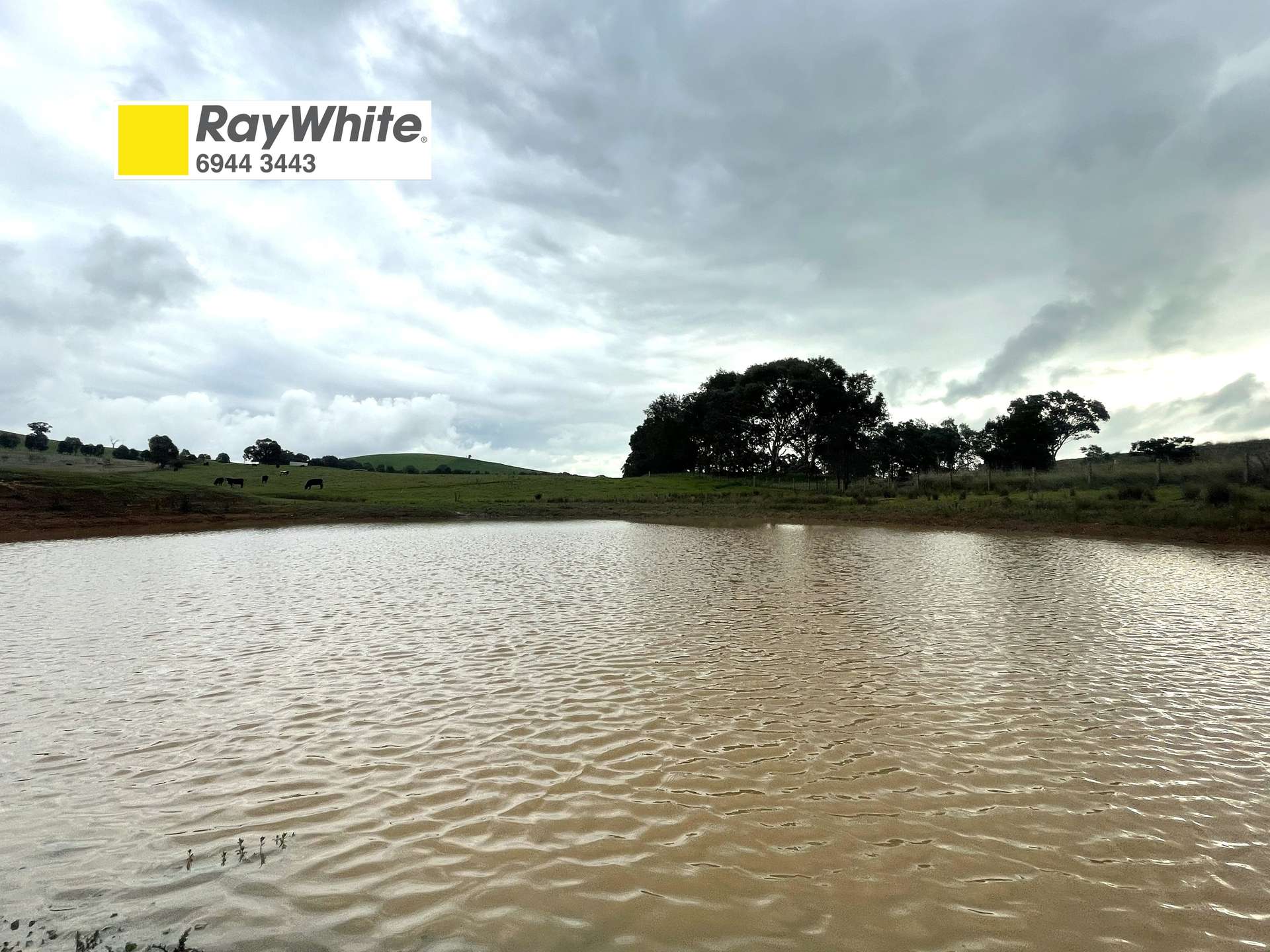 76 Sylvia's Gap Road, Gundagai For Sale by Farmbuy.com - image 1