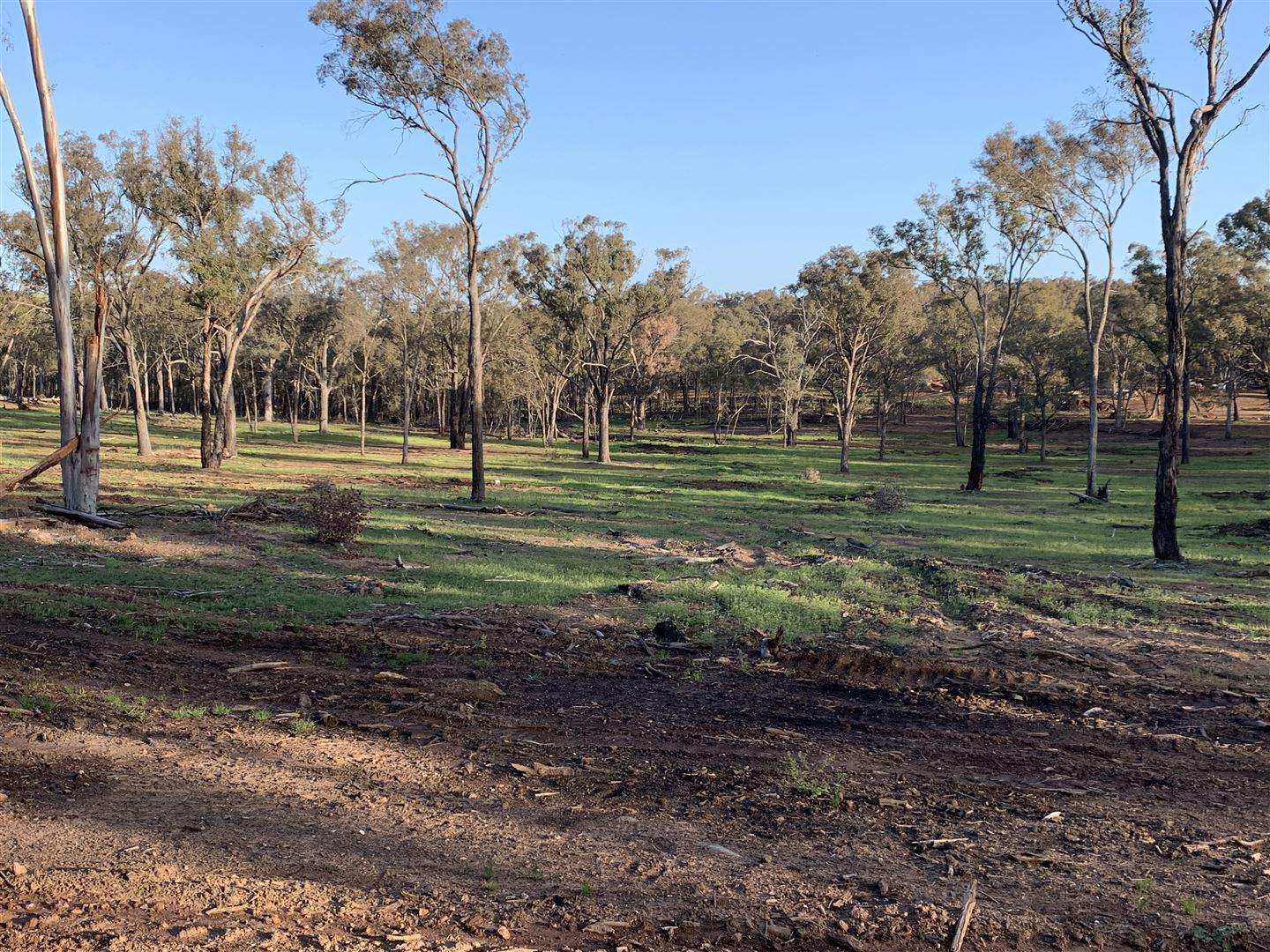. Holbrook Wagga Road, Cookardinia For Sale by Farmbuy.com - image 5