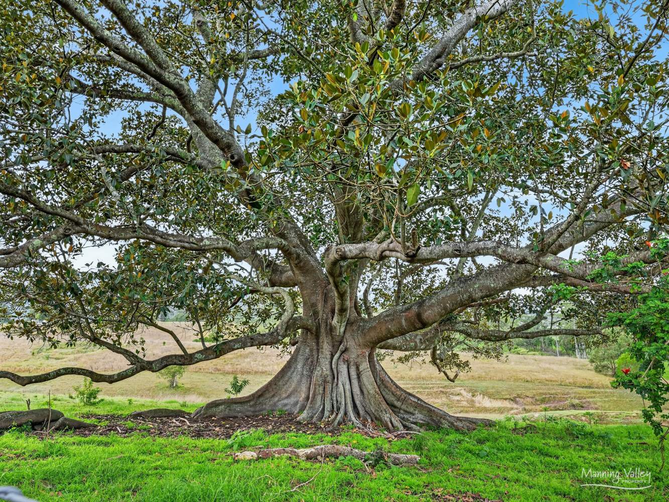 1577A Nowendoc Road, Mount George For Sale by Farmbuy.com - image 23