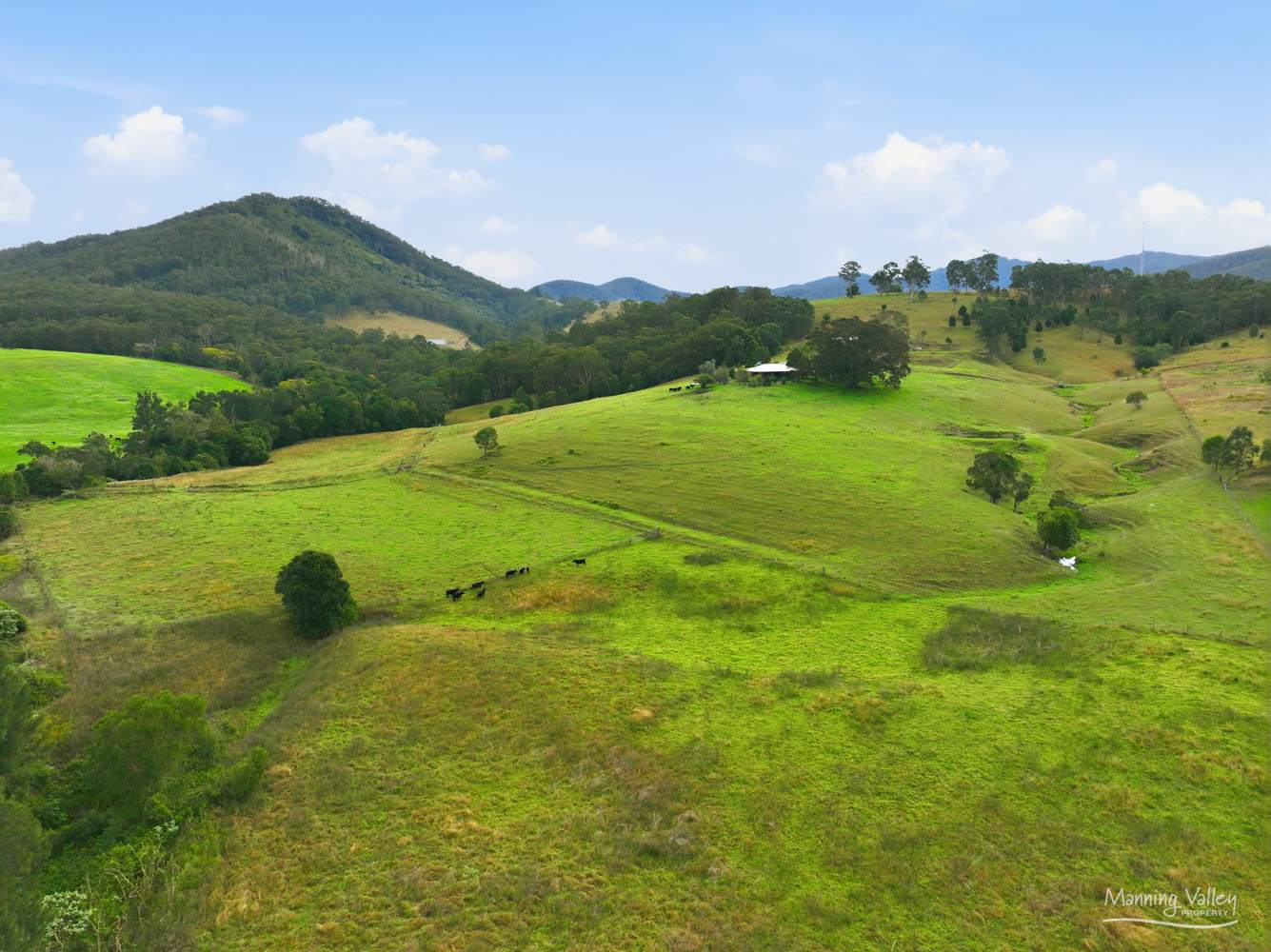 1577A Nowendoc Road, Mount George For Sale by Farmbuy.com - image 17
