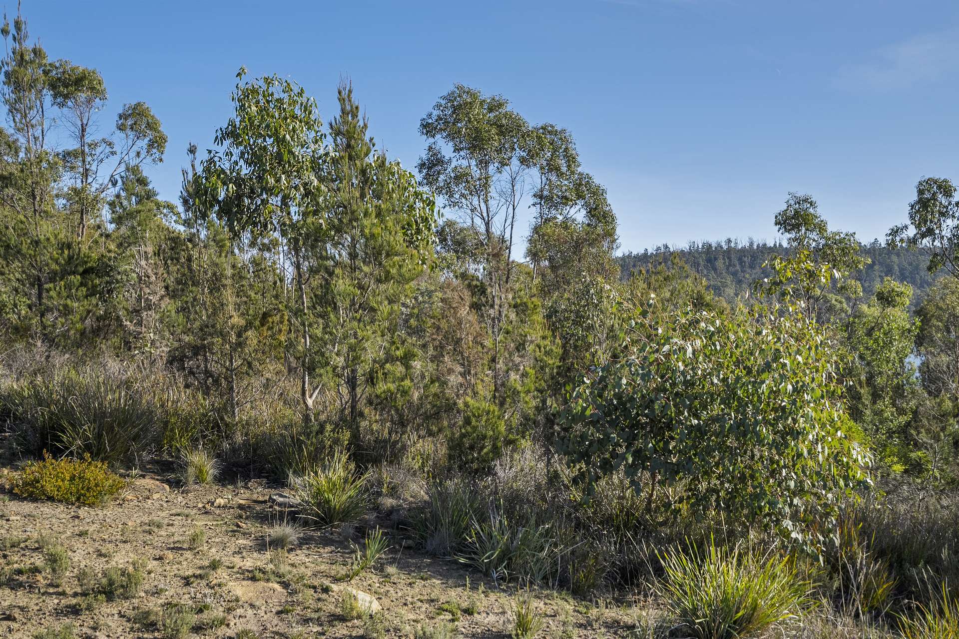 10 Pahi Rise, Murdunna For Sale by Farmbuy.com - image 24
