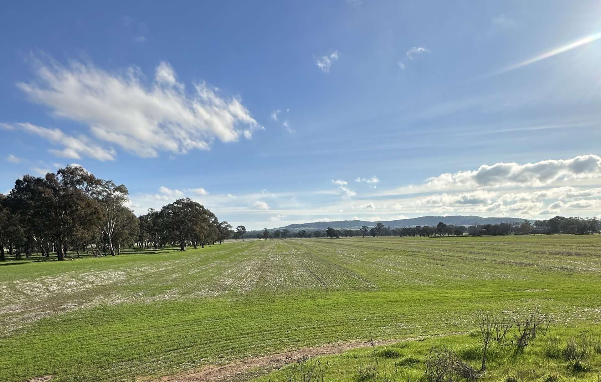 Lot 61 Rodgers Road, Gerogery For Sale by Farmbuy.com - image 3