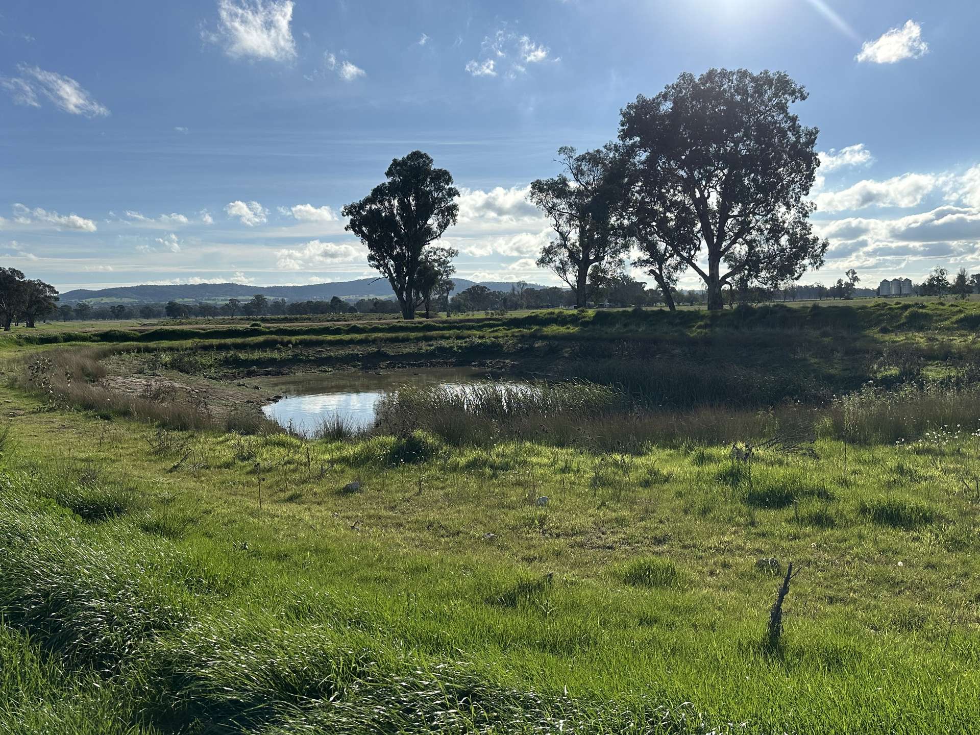 Lot 61 Rodgers Road, Gerogery For Sale by Farmbuy.com - image 8