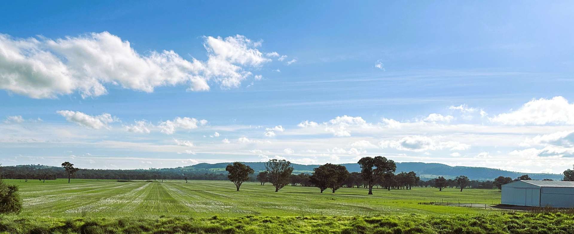 Lot 61 Rodgers Road, Gerogery For Sale by Farmbuy.com - image 1