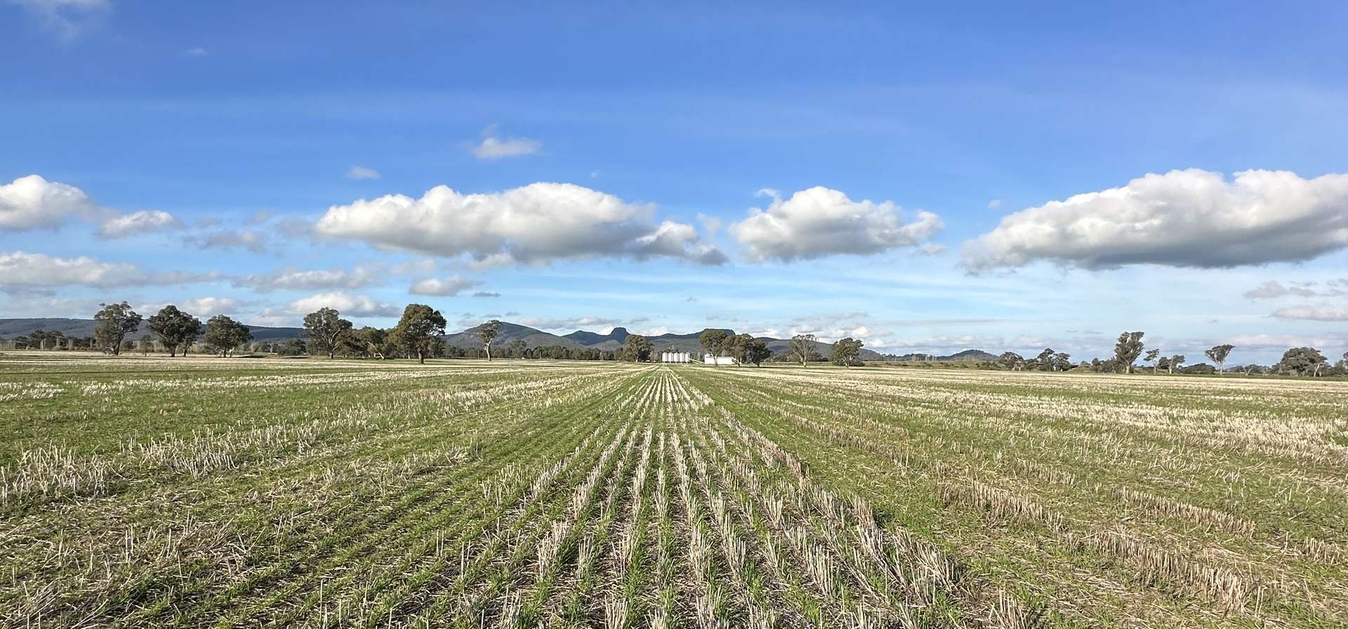 Lot 61 Rodgers Road, Gerogery For Sale by Farmbuy.com - image 4