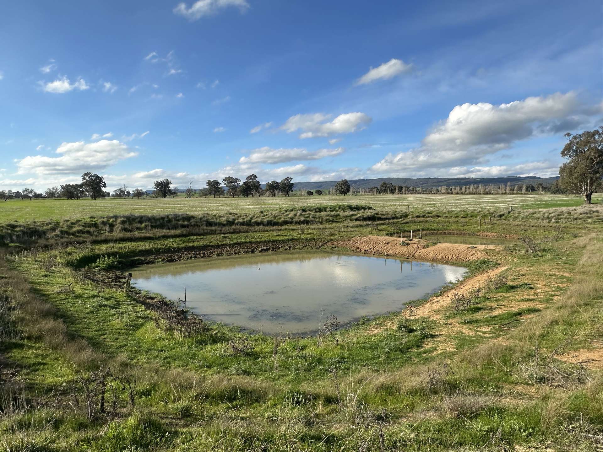 Lot 61 Rodgers Road, Gerogery For Sale by Farmbuy.com - image 9