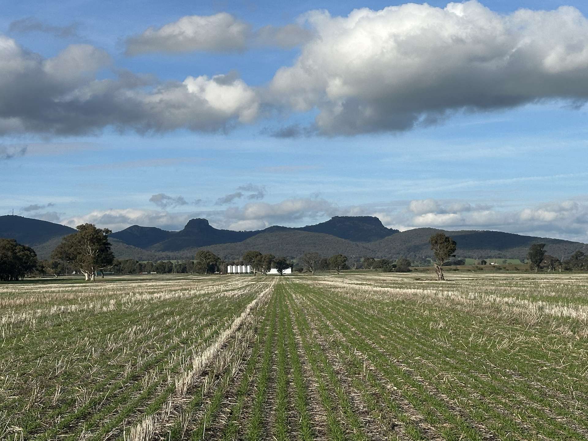 Lot 61 Rodgers Road, Gerogery For Sale by Farmbuy.com - image 10