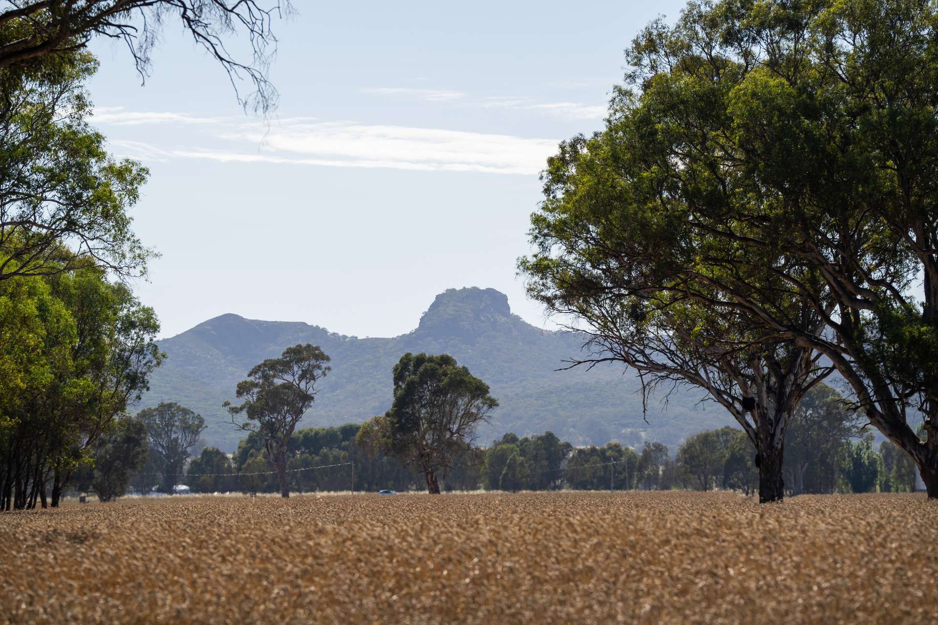 Lot 61 Rodgers Road, Gerogery For Sale by Farmbuy.com - image 14