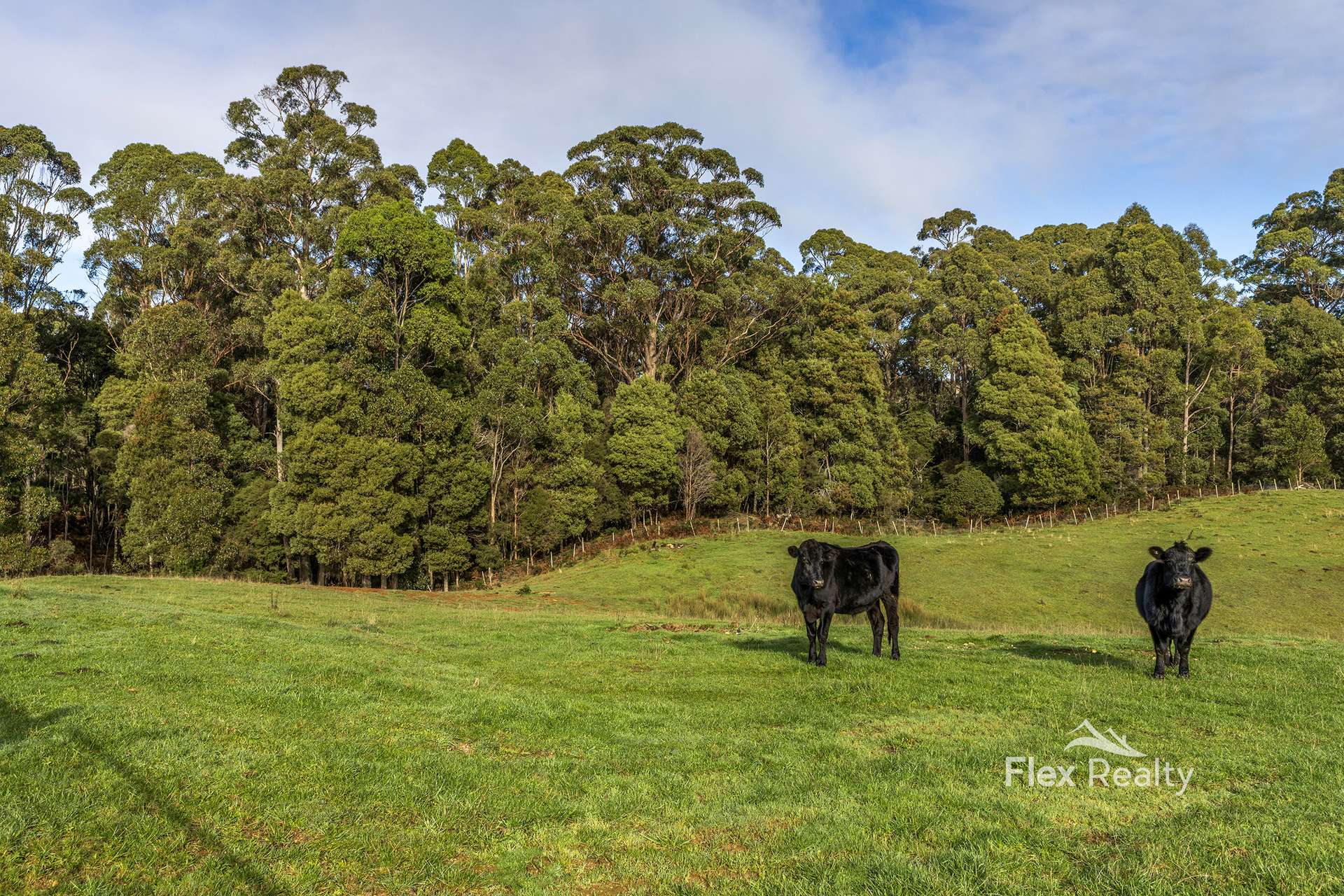 51A Lapoinya Road, Moorleah For Sale by Farmbuy.com - image 29