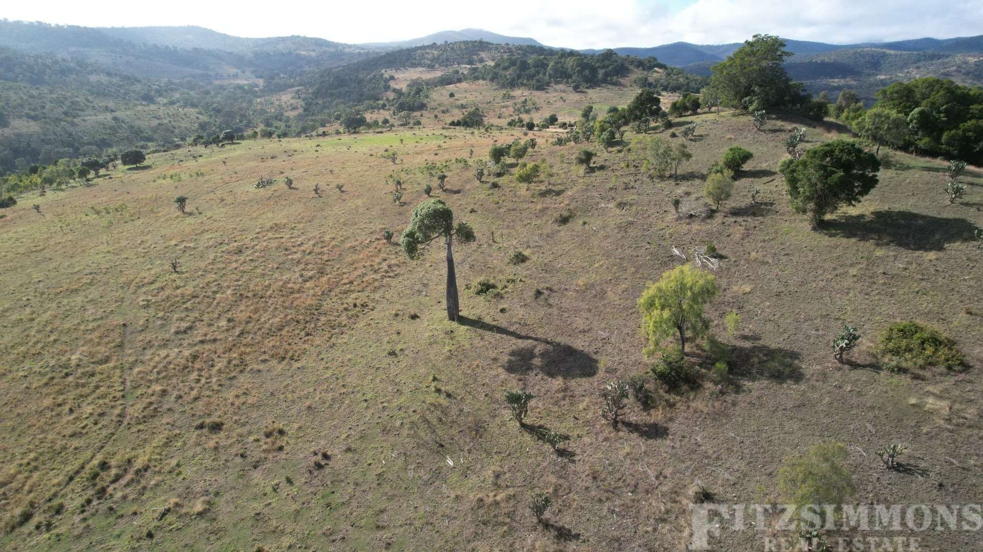 Crowles Road, Cooranga Auction by Farmbuy.com - image 5