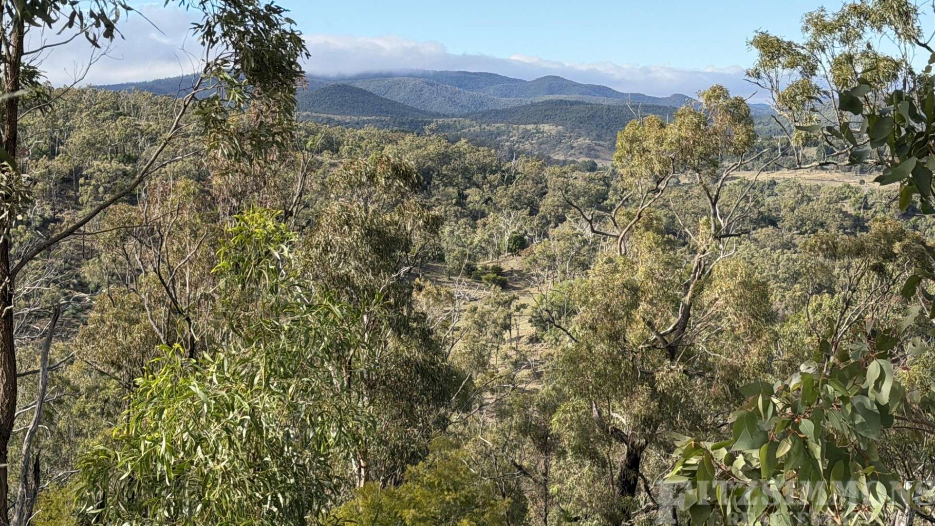 Crowles Road, Cooranga Auction by Farmbuy.com - image 22