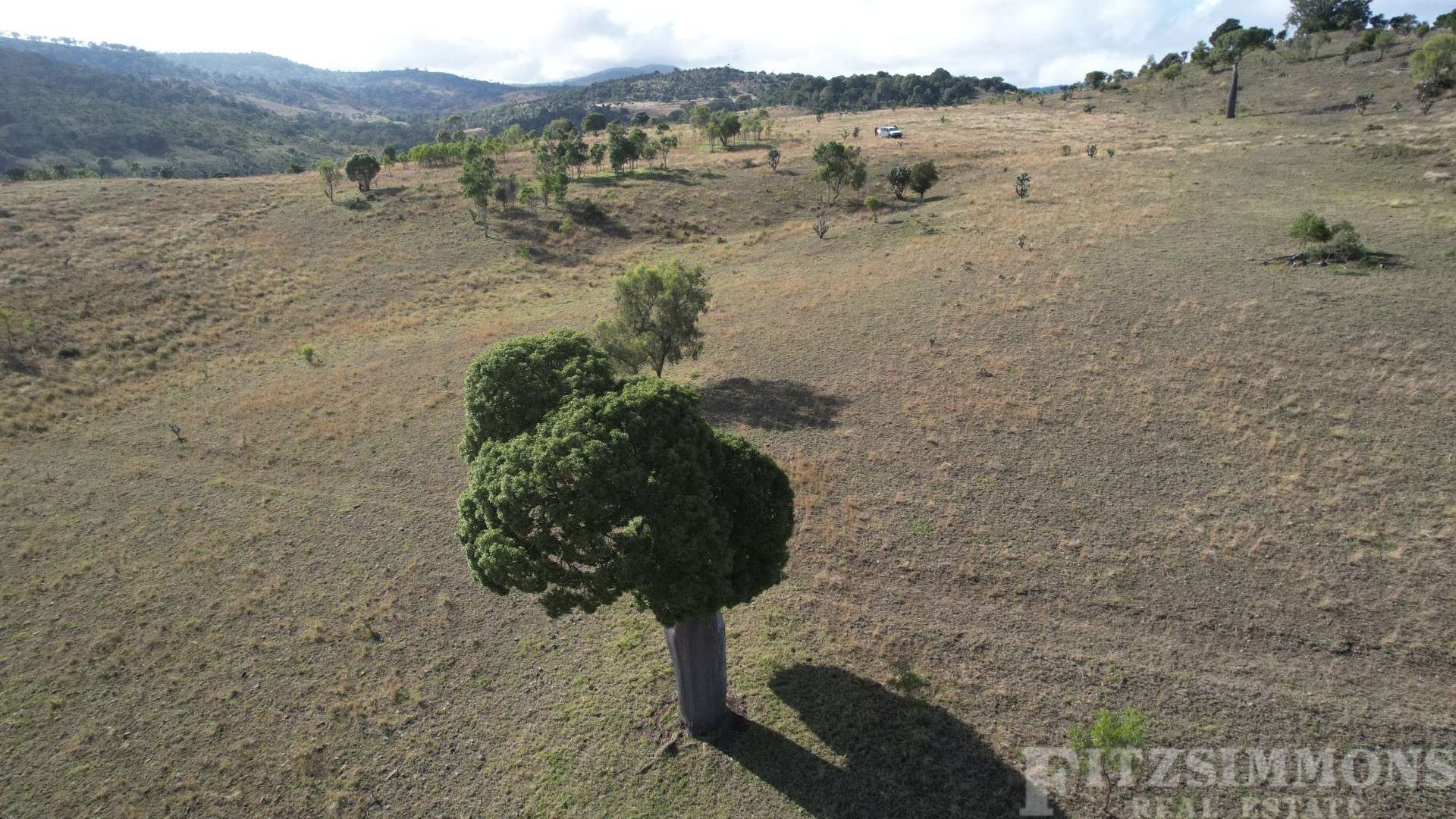 Crowles Road, Cooranga Auction by Farmbuy.com - image 4