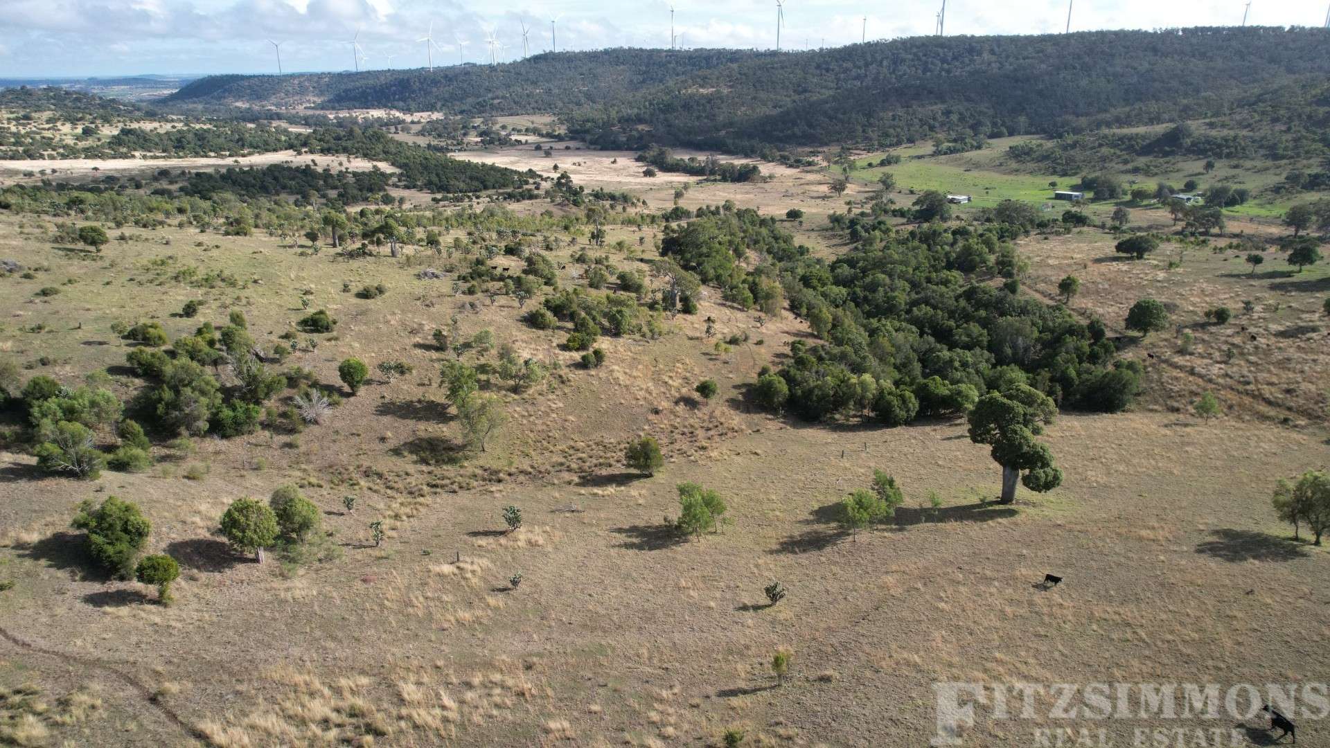 Crowles Road, Cooranga Auction by Farmbuy.com - image 2
