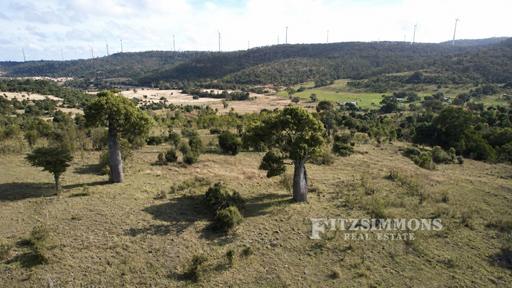 Farm Auction - QLD - Cooranga - 4408 - EXCELLENT BREEDER BLOCK - 259 HECTARES WITH IMPROVEMENTS! 
