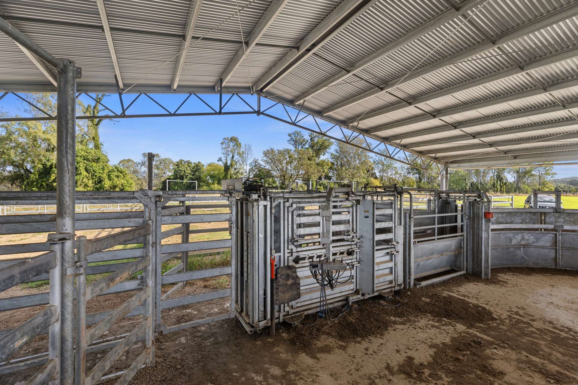 63 Bellmary Road, Curra Auction by Farmbuy.com - image 13