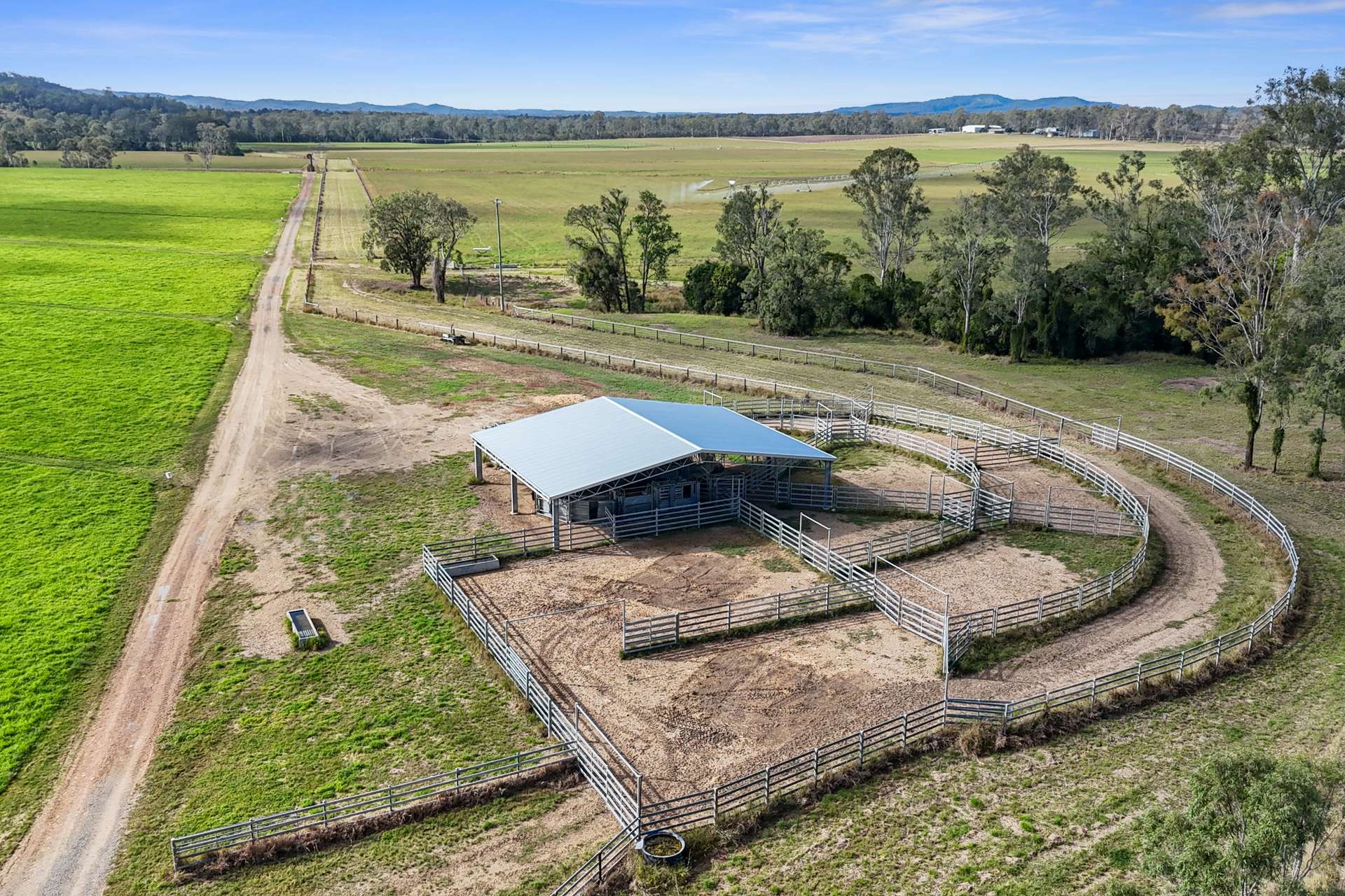 63 Bellmary Road, Curra Auction by Farmbuy.com - image 4