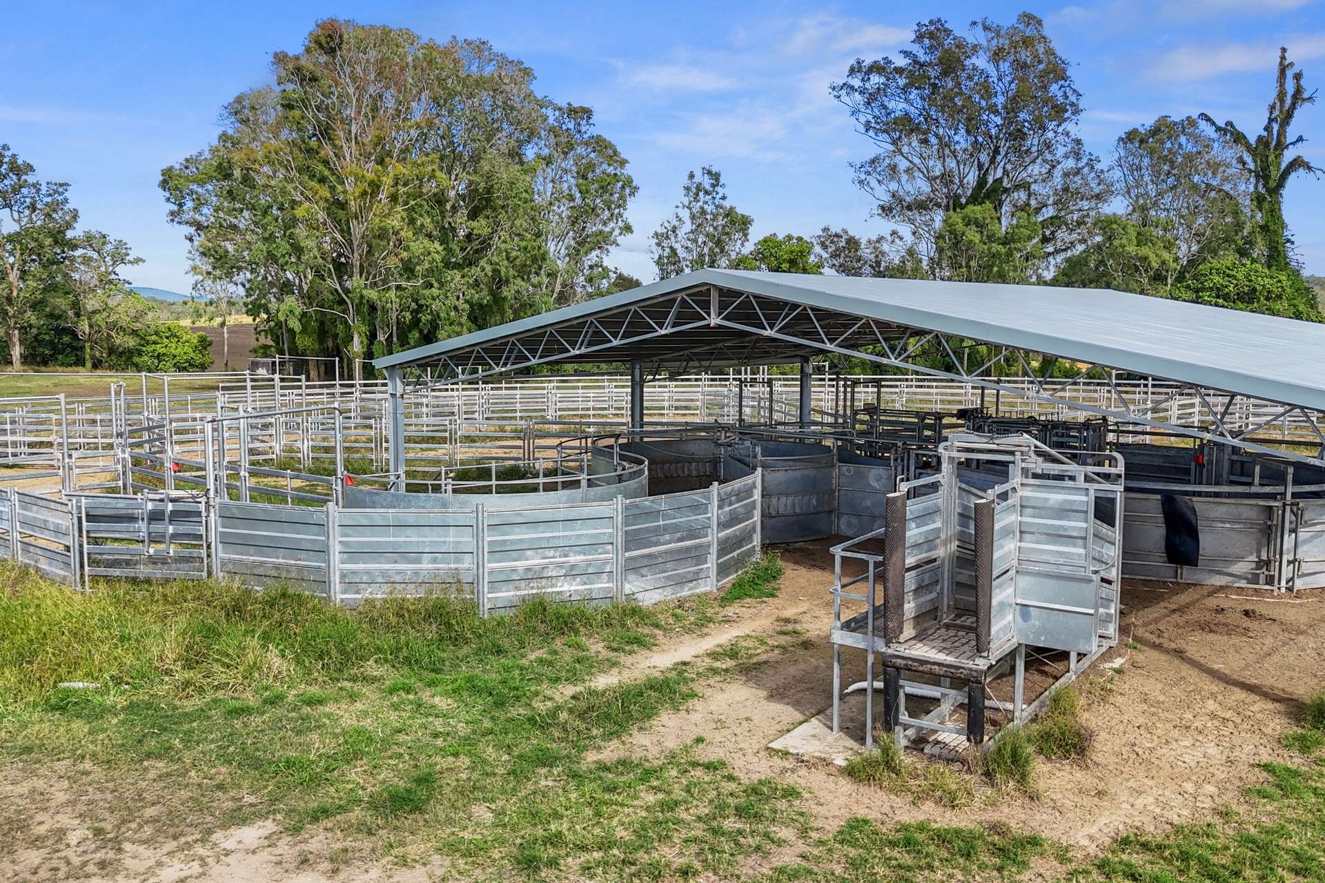 63 Bellmary Road, Curra Auction by Farmbuy.com - image 12