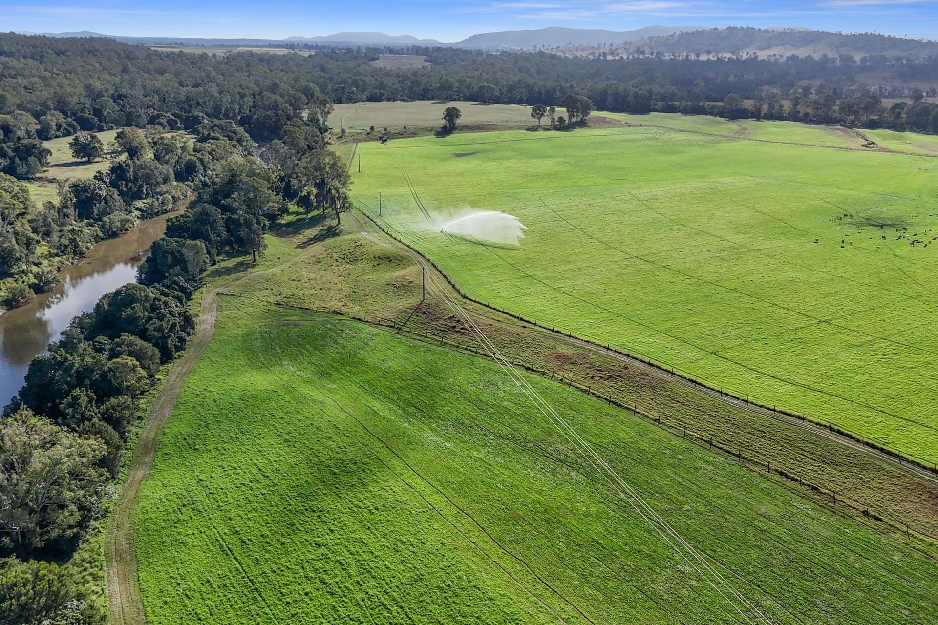 63 Bellmary Road, Curra Auction by Farmbuy.com - image 33