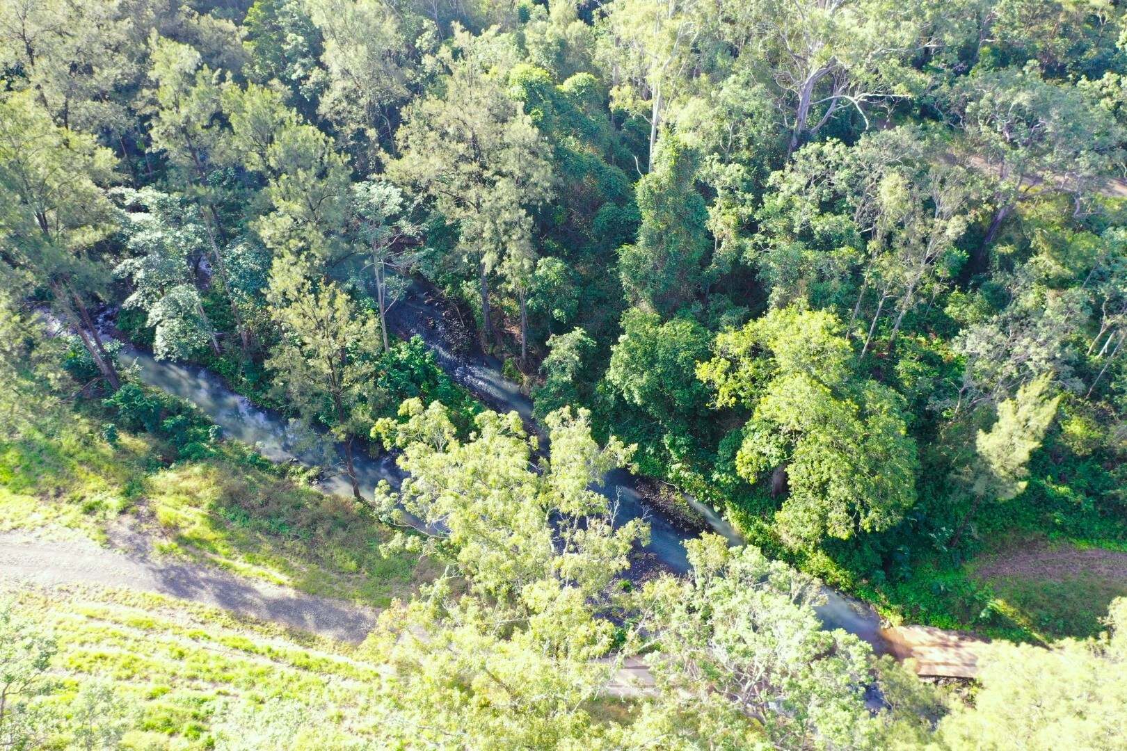 1108 Eden Creek Road, Kyogle For Sale by Farmbuy.com - image 17