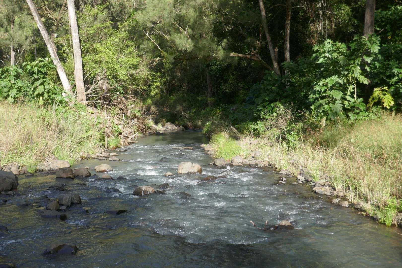 1108 Eden Creek Road, Kyogle For Sale by Farmbuy.com - image 2