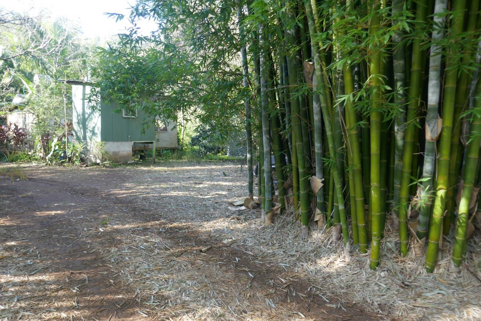 1108 Eden Creek Road, Kyogle For Sale by Farmbuy.com - image 6