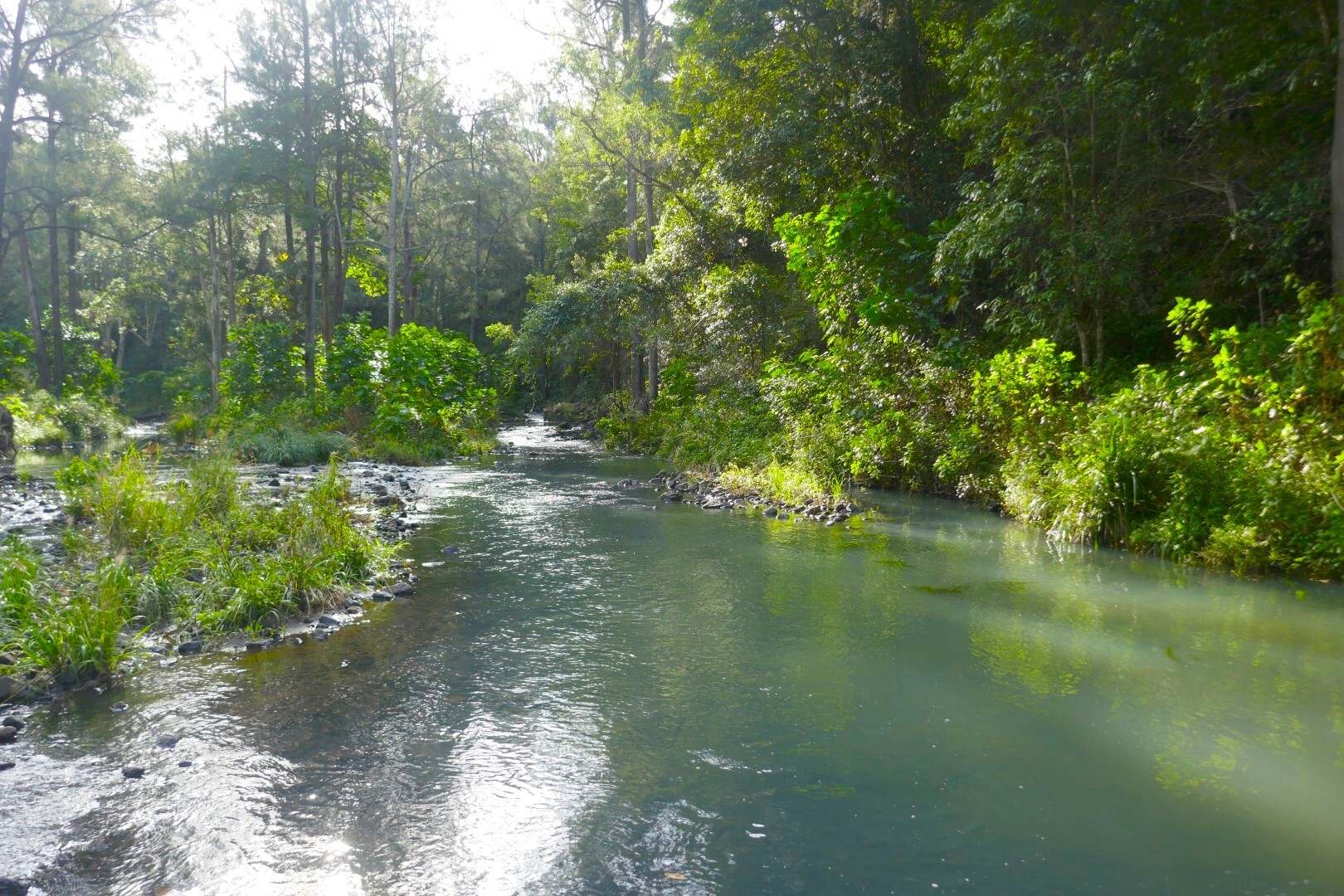 1108 Eden Creek Road, Kyogle For Sale by Farmbuy.com - image 2