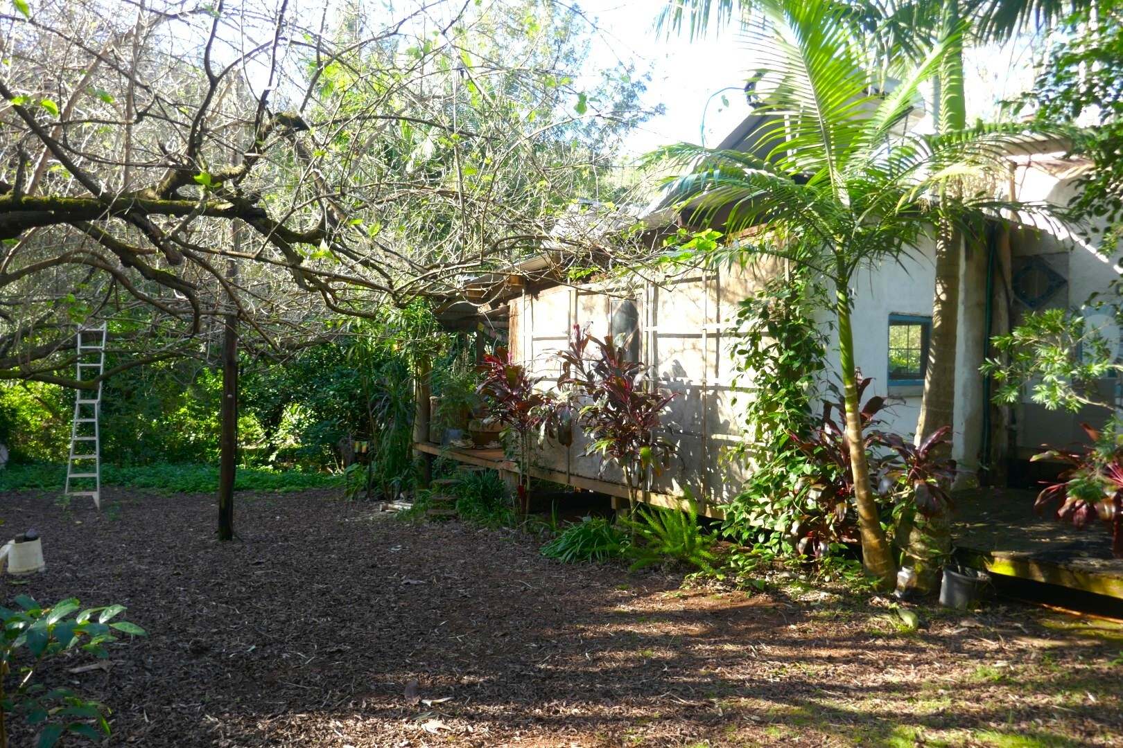 1108 Eden Creek Road, Kyogle For Sale by Farmbuy.com - image 7