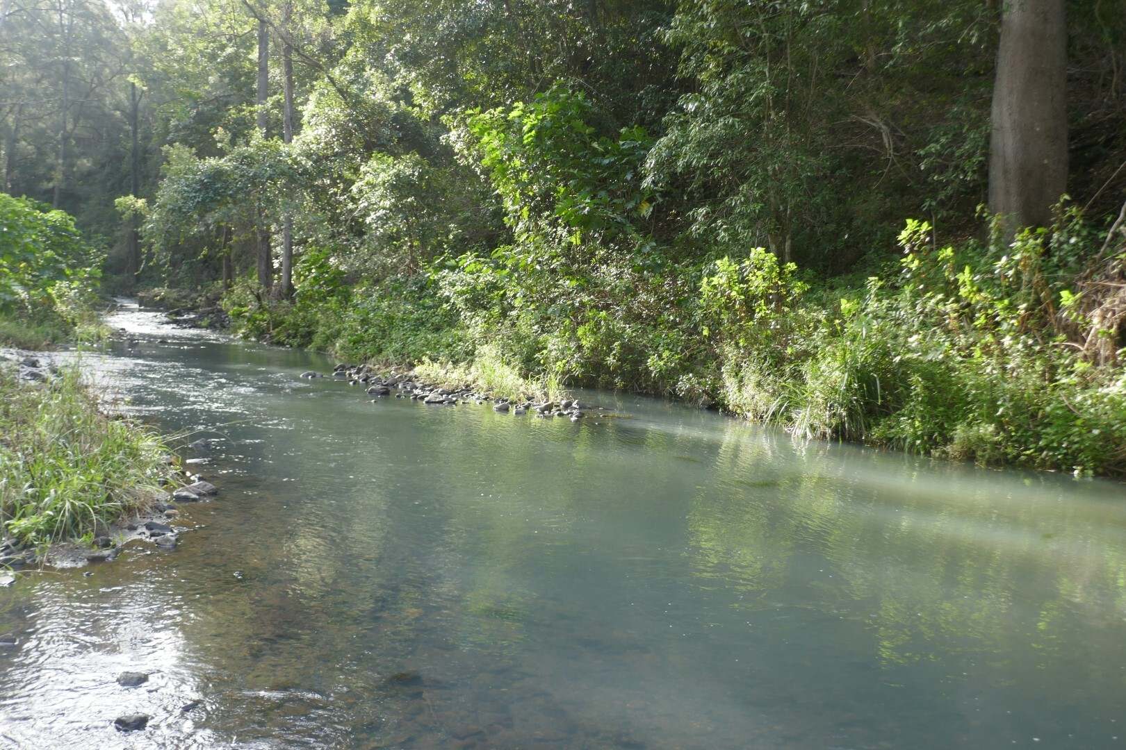 1108 Eden Creek Road, Kyogle For Sale by Farmbuy.com - image 8