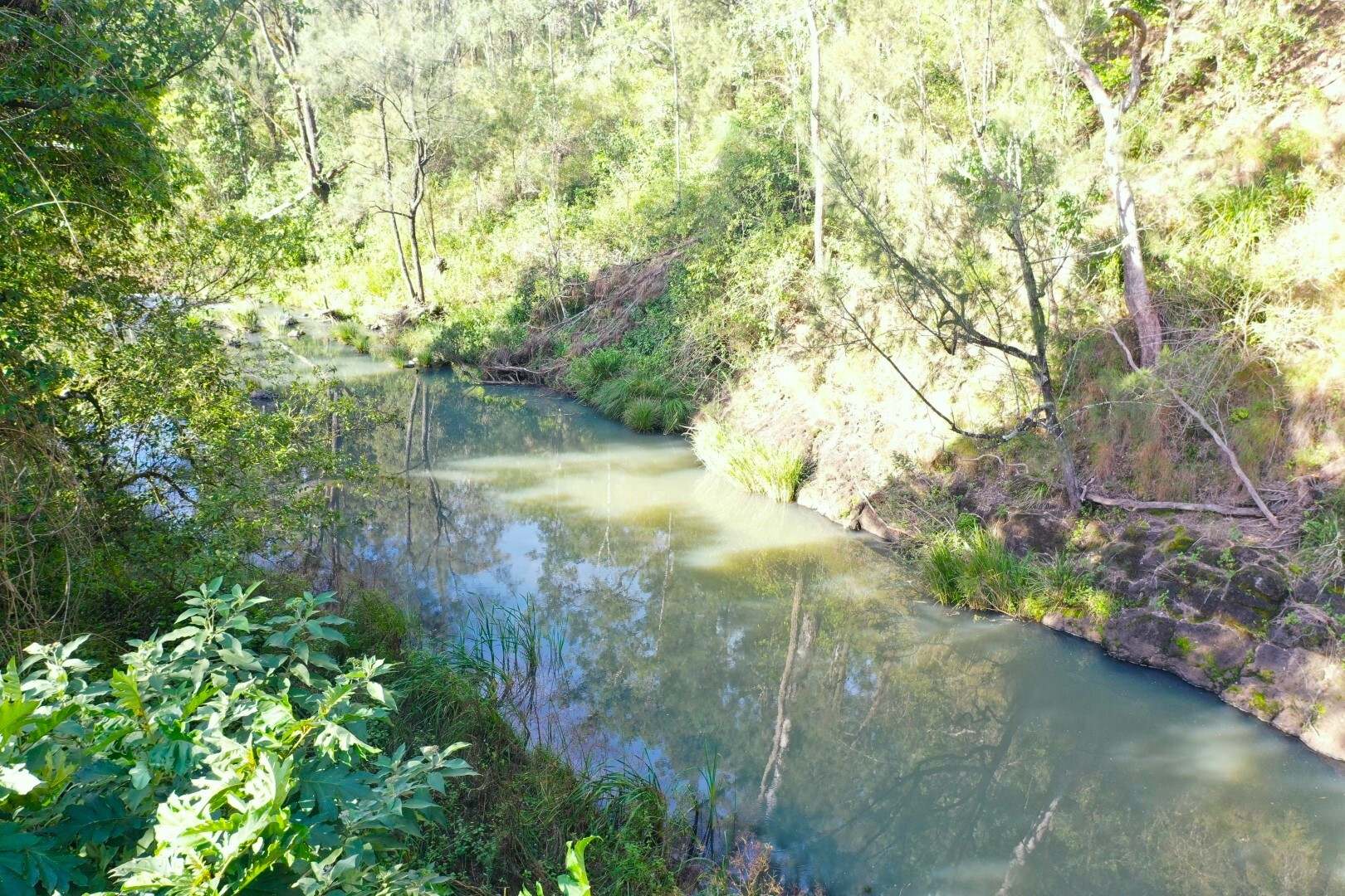 1108 Eden Creek Road, Kyogle For Sale by Farmbuy.com - image 19